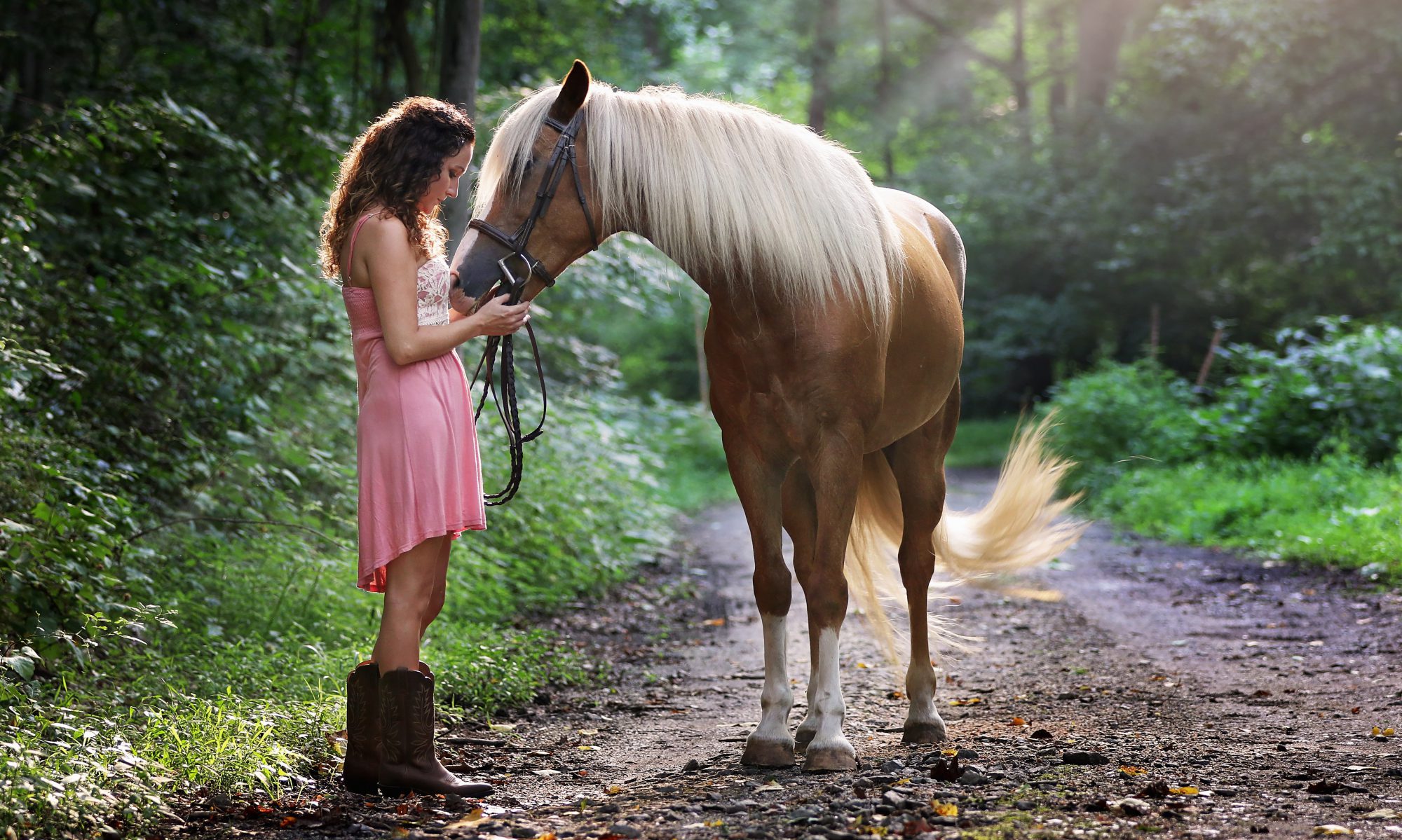 Brooks Performance Horse Feeds
